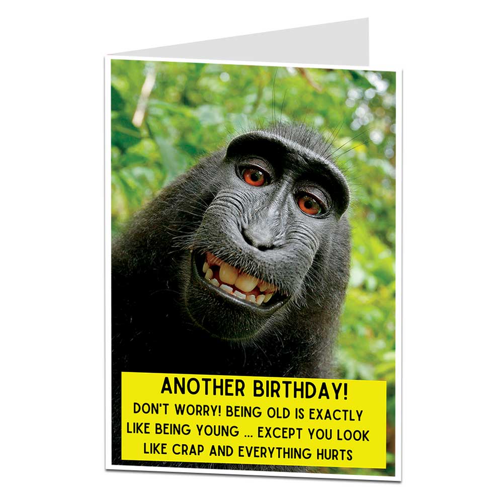 Being Old Monkey Birthday Card