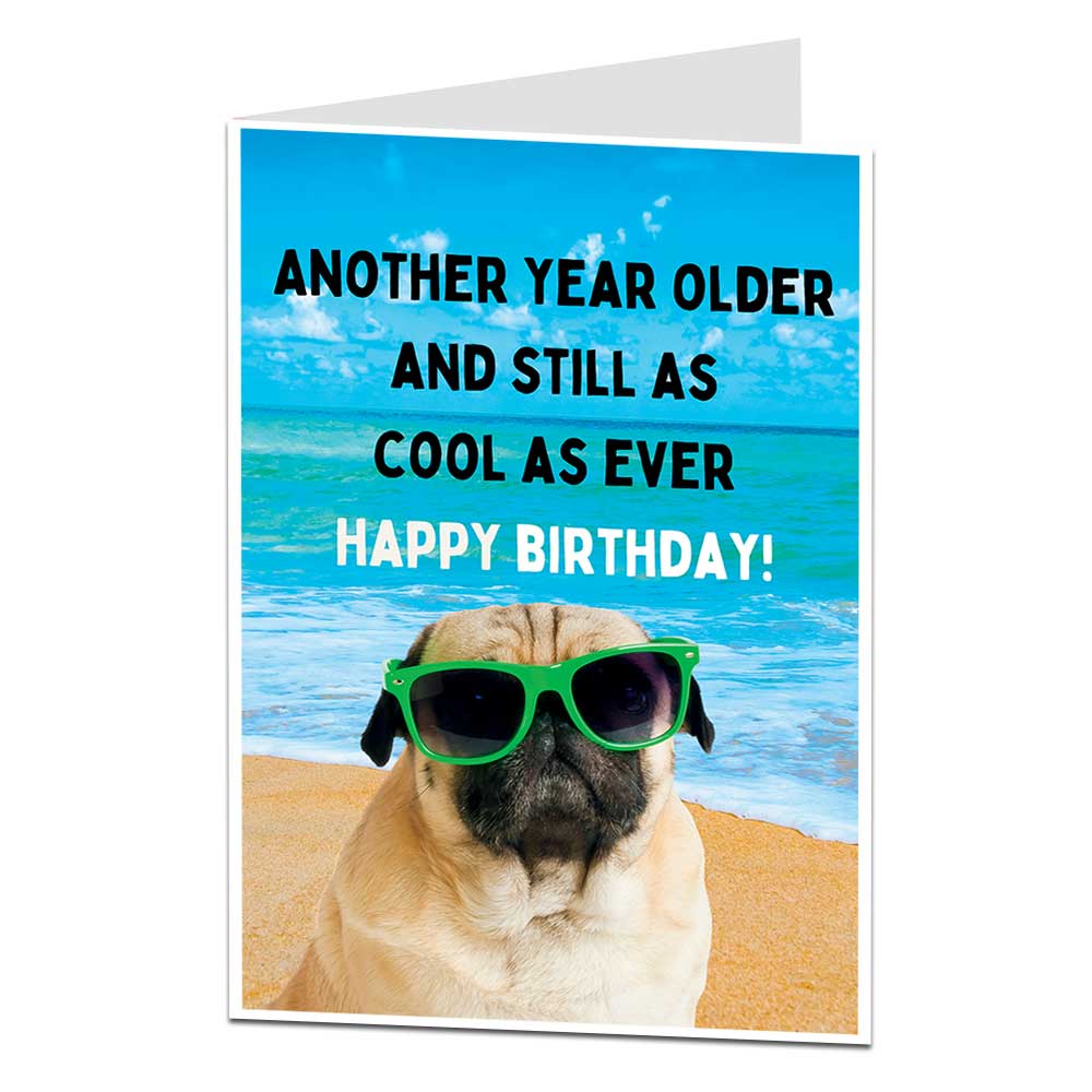Another Year Older And Still As Cool As Ever Dog Birthday Card