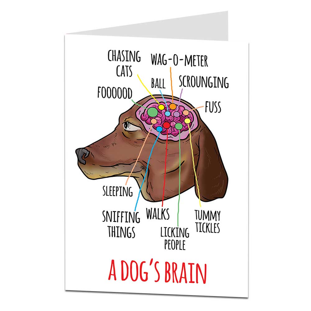 Dog's Brain Birthday Card