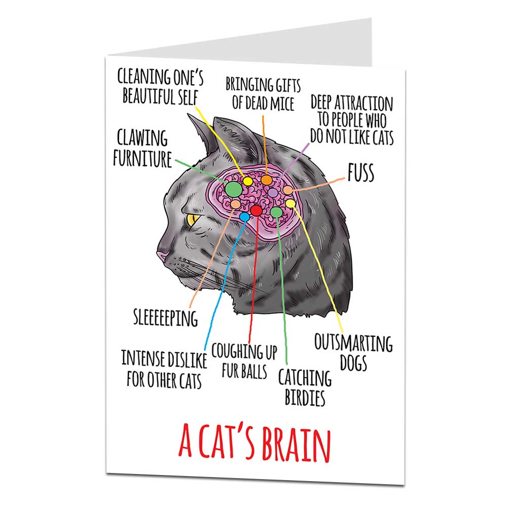 Cat's Brain Birthday Card