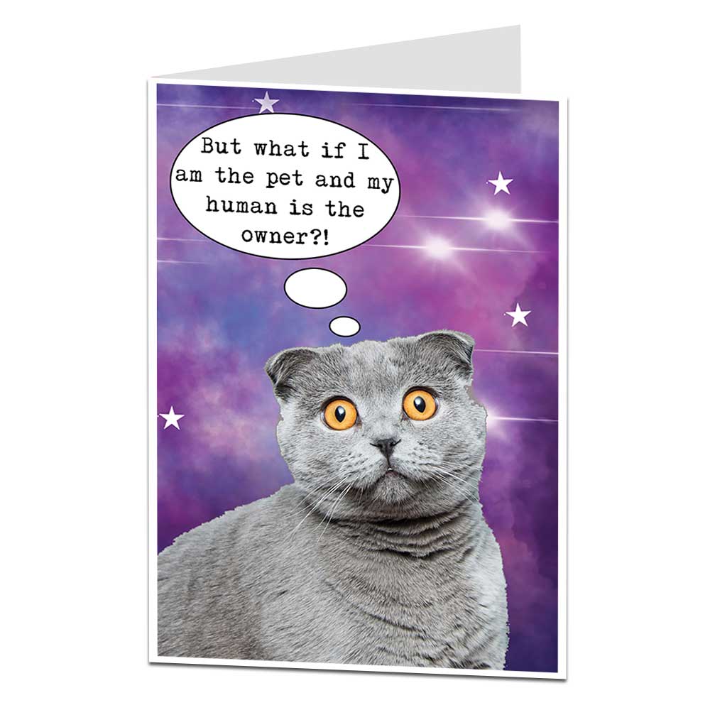 What If I'm The Pet Cat Birthday Card