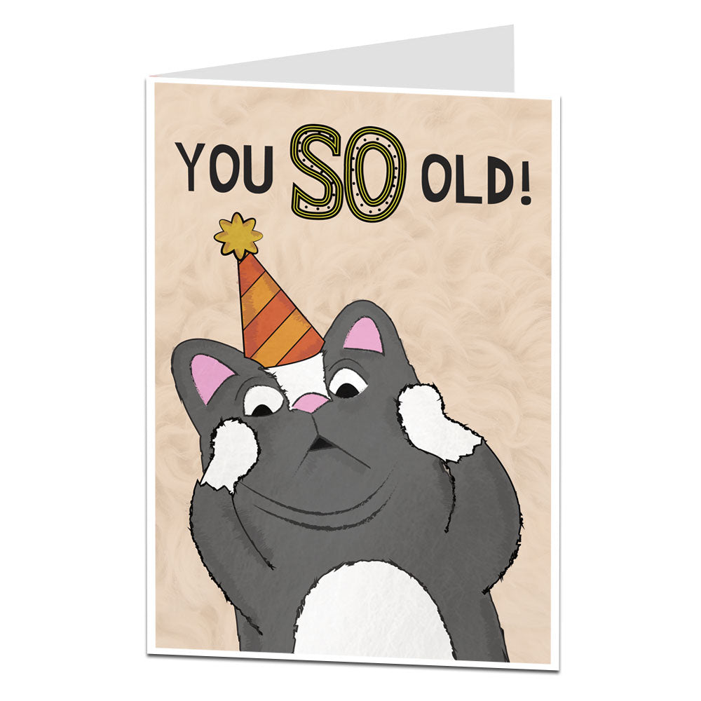 You So Old Cat Birthday Card