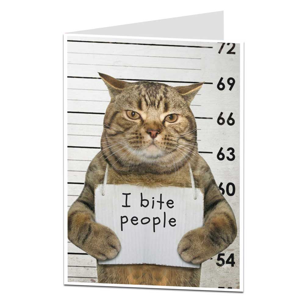I Bite People Funny Cat Birthday Card