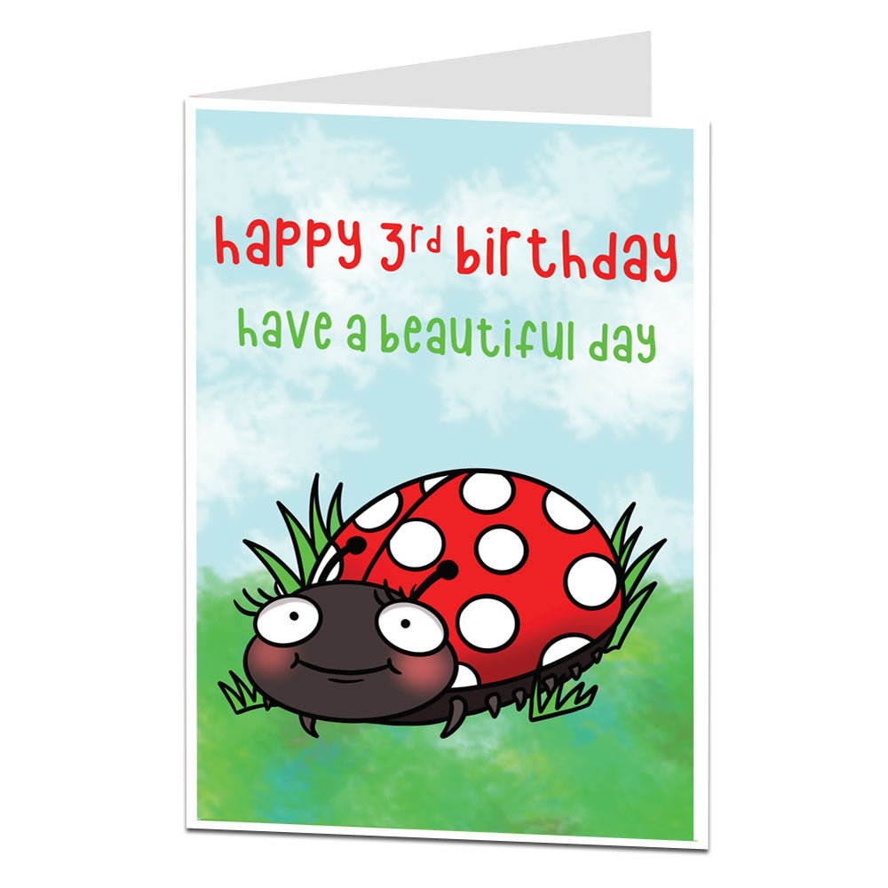 3rd Birthday Card Lady Bird