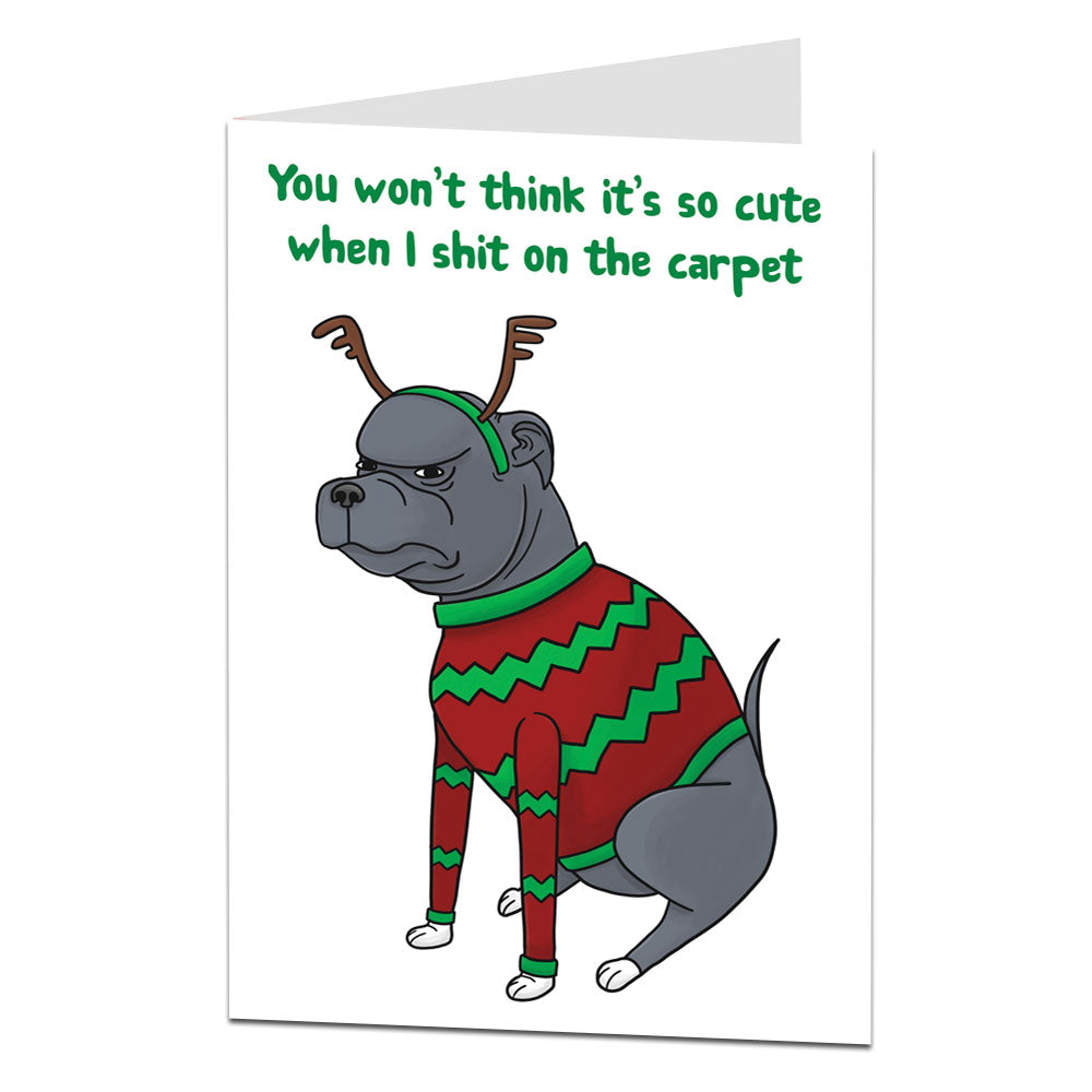 Dog In Christmas Jumper Card