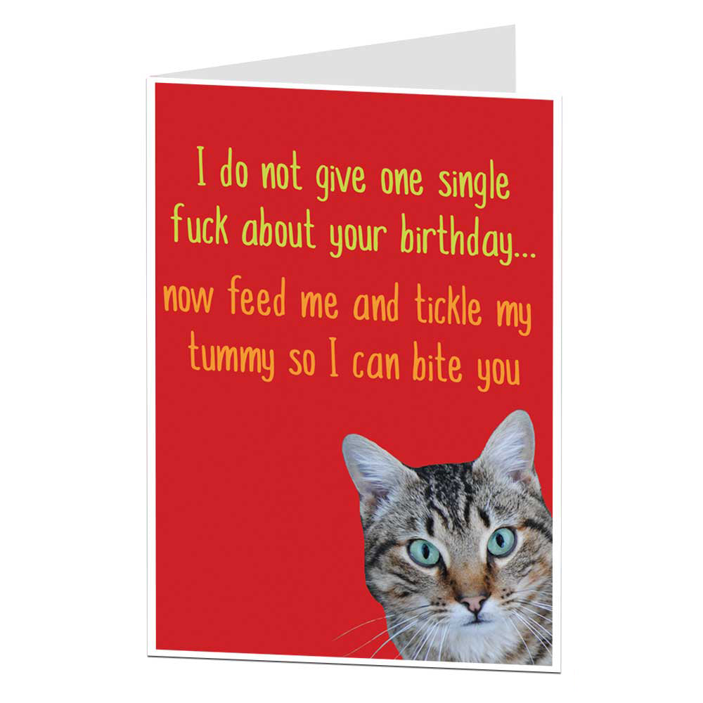 Offensive Cat Birthday Card